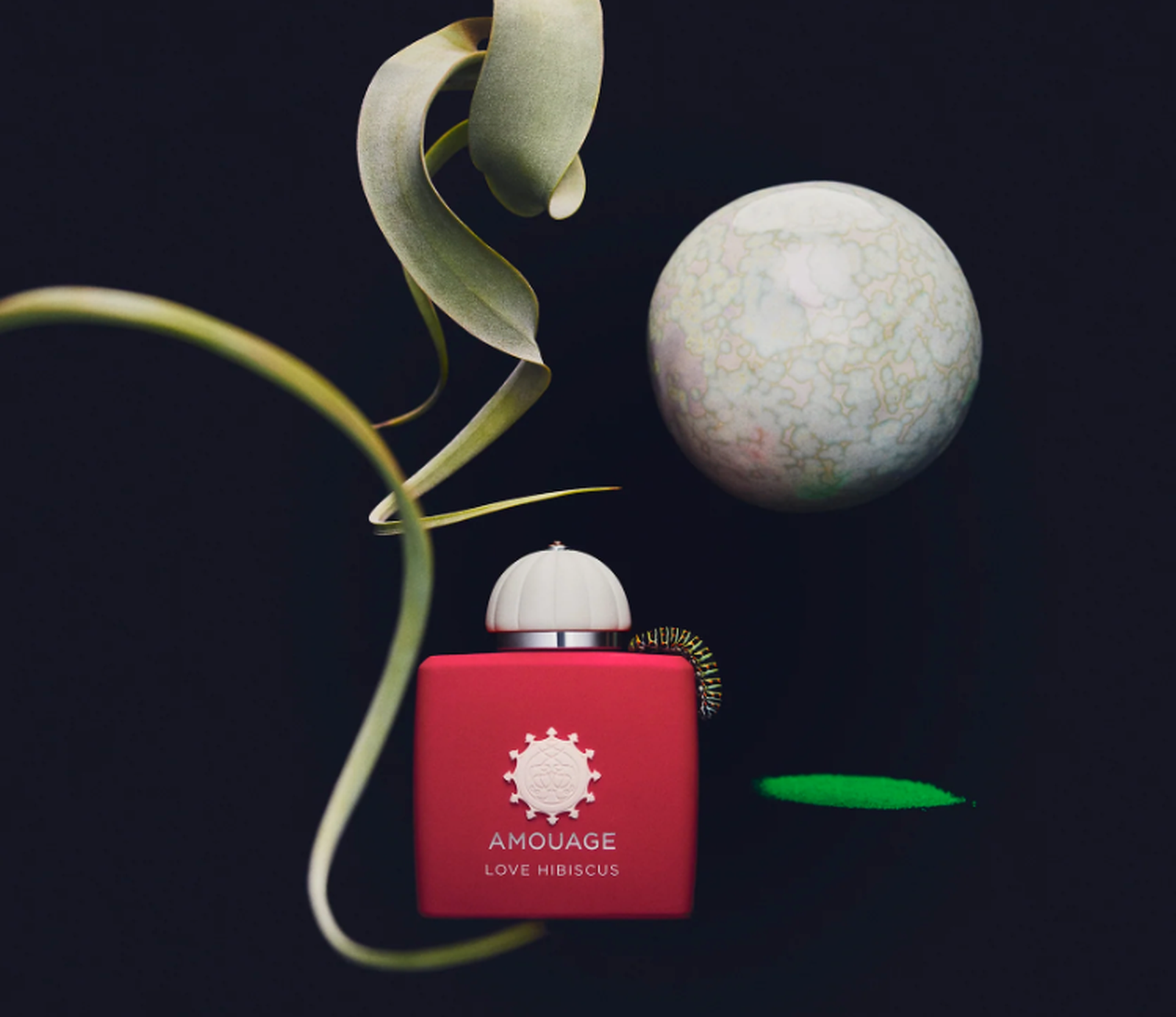 LOVE HIBISCUS - Image 3